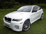 BMW X6 by Status Design 2010 года